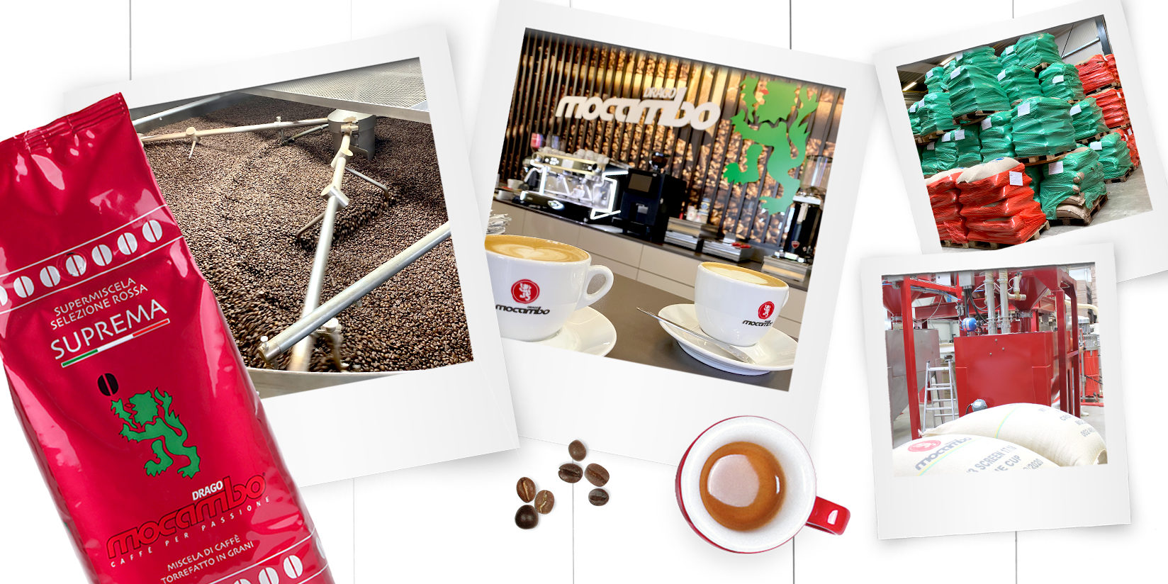 mocambo-blog-header Mocambo Interview