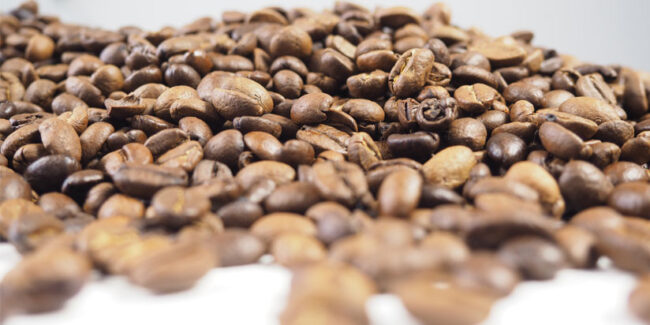 Frische Kaffeebohnen