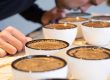 Person riecht an Kaffeebecher