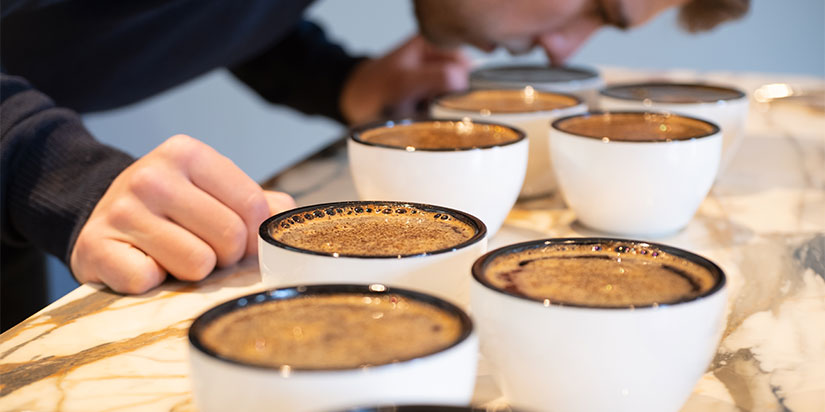 kaffee-cupping Person riecht an Kaffeebecher