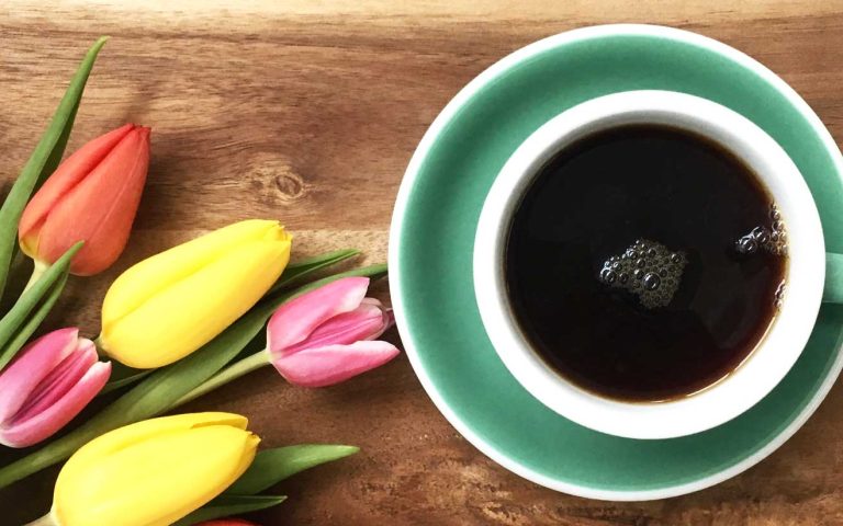 geschenkideen-ostern Türkise Kaffeetasse auf Holzuntergrund, daneben Tulpen in verschiedenen Farben