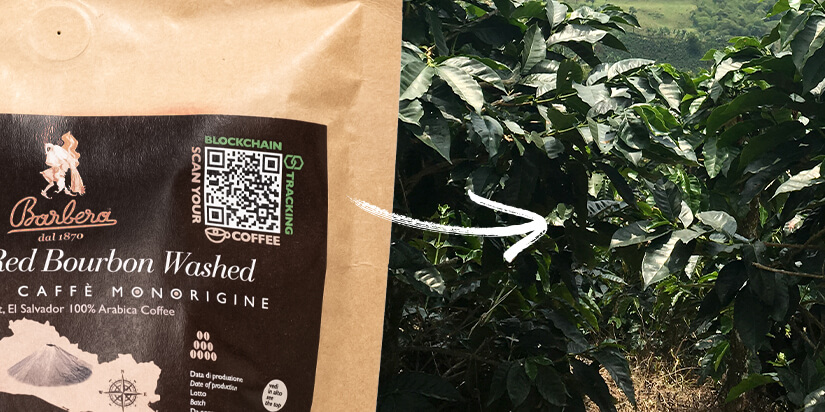 QR-Codes auf Kaffeeverpackungen | Transparenz in der Kaffeebranche