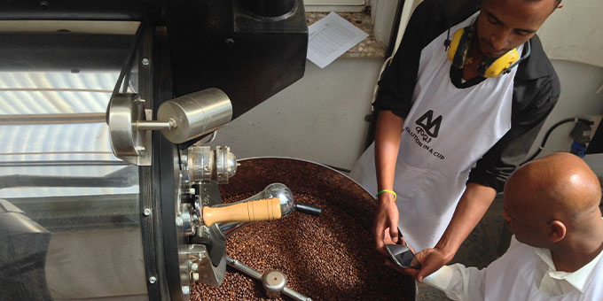 Der Röstmeister prüft die Bohnenqualität am Luftbett des Trommelrösters bei Moyee Coffee